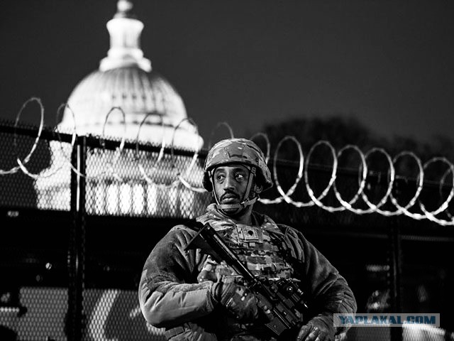 Задержание Соболь