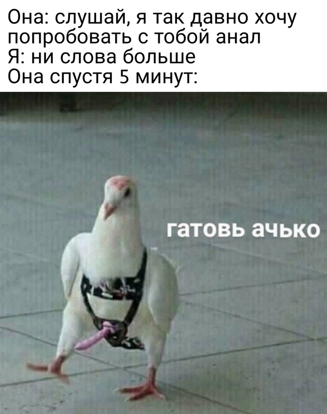 Весёлый полтишок 12.03