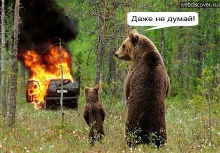 Английские разборки