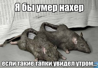 Картинки с надписями и всякие жизненные фразы 07.05.2021