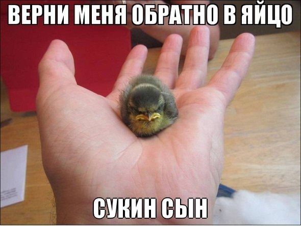 Так себе картинки 27.05.21