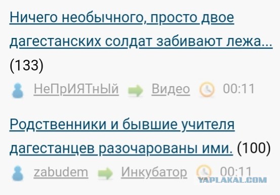 Родственники и бывшие учителя дагестанцев разочарованы ими.