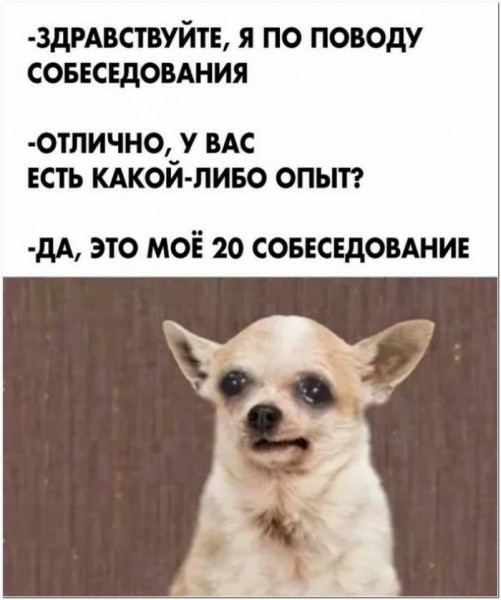 Мемасики от Димасика - Часть 1 (+20 мемов)
