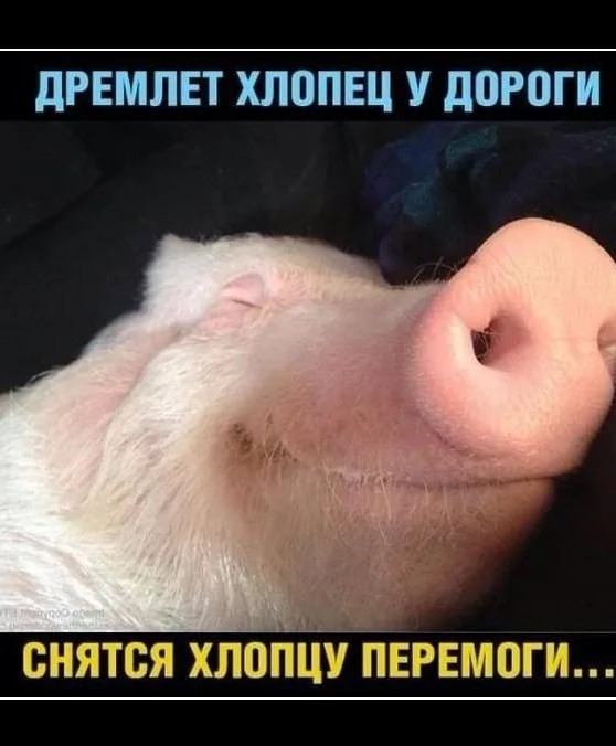 Николаев сейчас. (12.03.22)