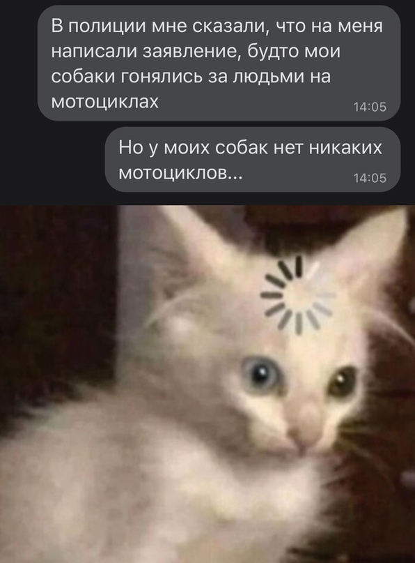 Картинки и мемы для настроения  - 31