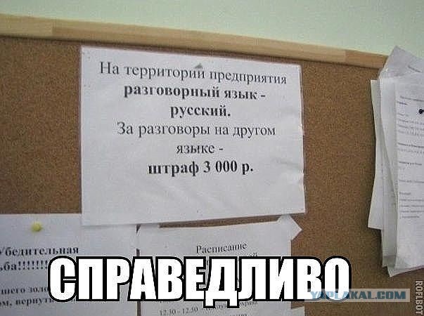 «Ну и уезжай в свою Россию, что ты здесь делаешь?»