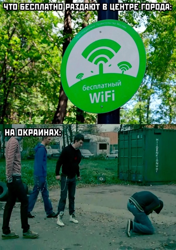 Весёлый полтишок 28.07.22