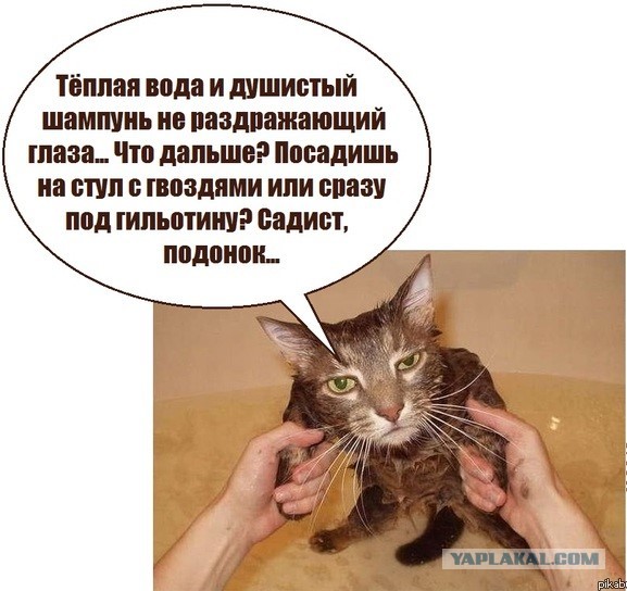 Ты чем-то недоволен, кожаный? Ну тогда лови