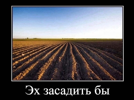 Осада Козельска