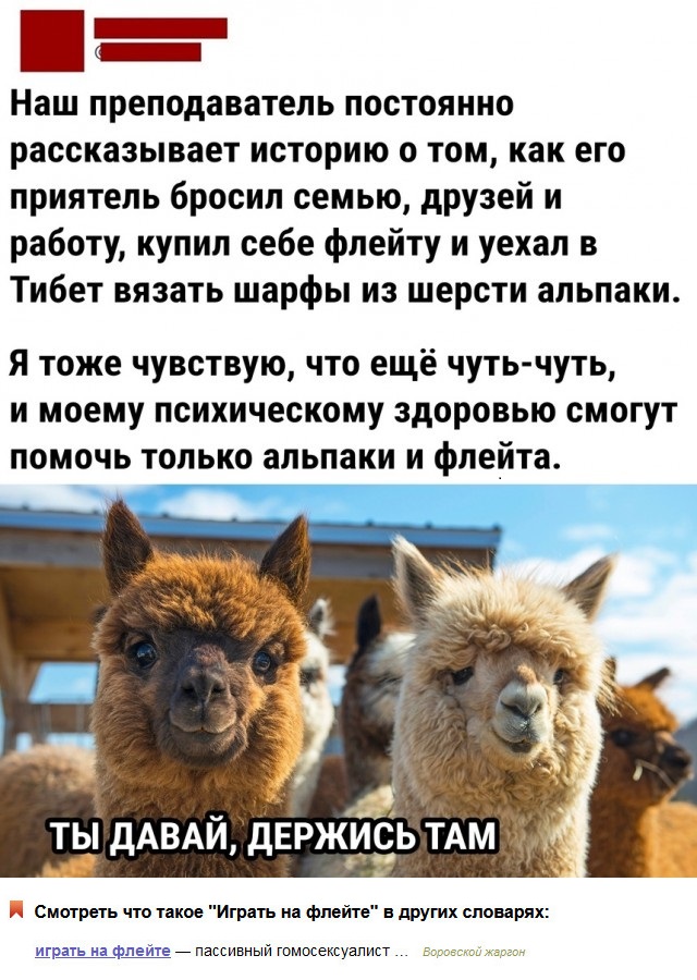 Так себе картинки 17.10.22