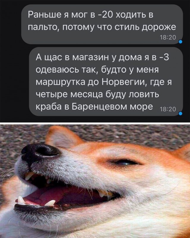 Немного картинок для настроения - 127