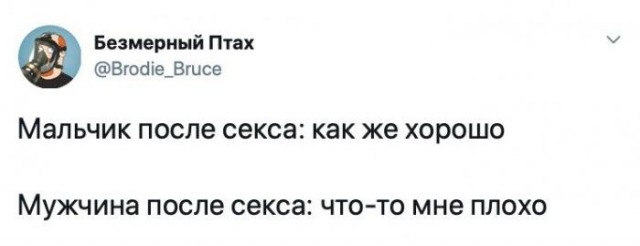 Весёлый полтишок 21.12.2022