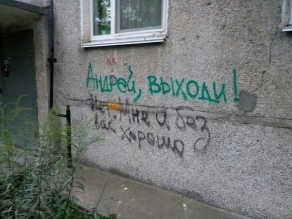 На заборе