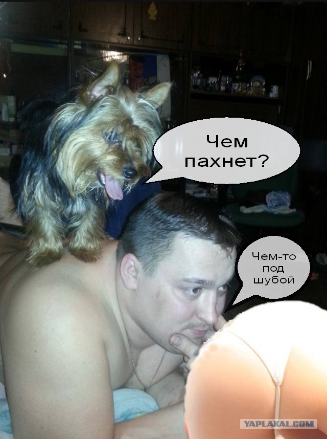 Прошу помощи в знакомстве с женщиной в интернете