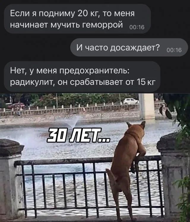 Приколы и мемы с налетом 2000-х