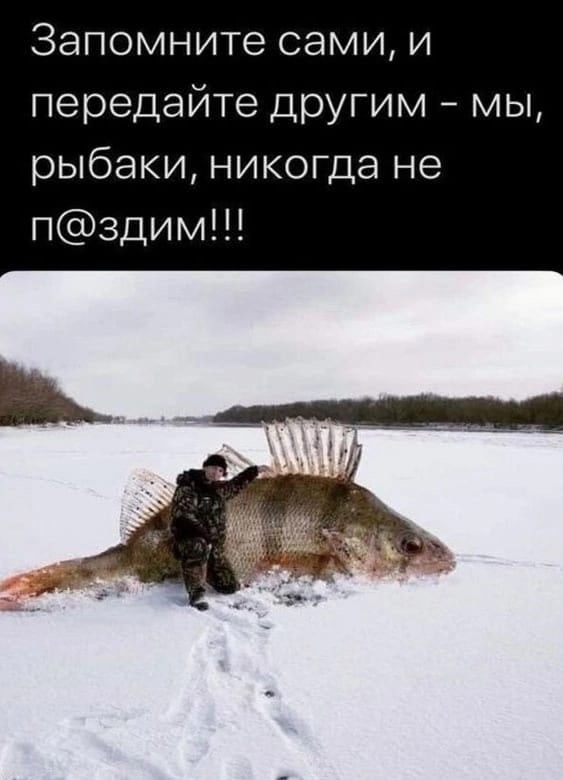 Доказательство моей честности