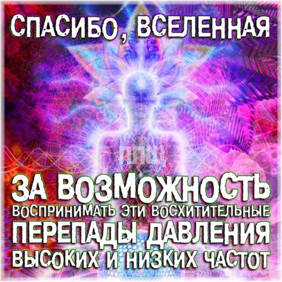 Прикольные и просто красивые картинки 22.02.2024