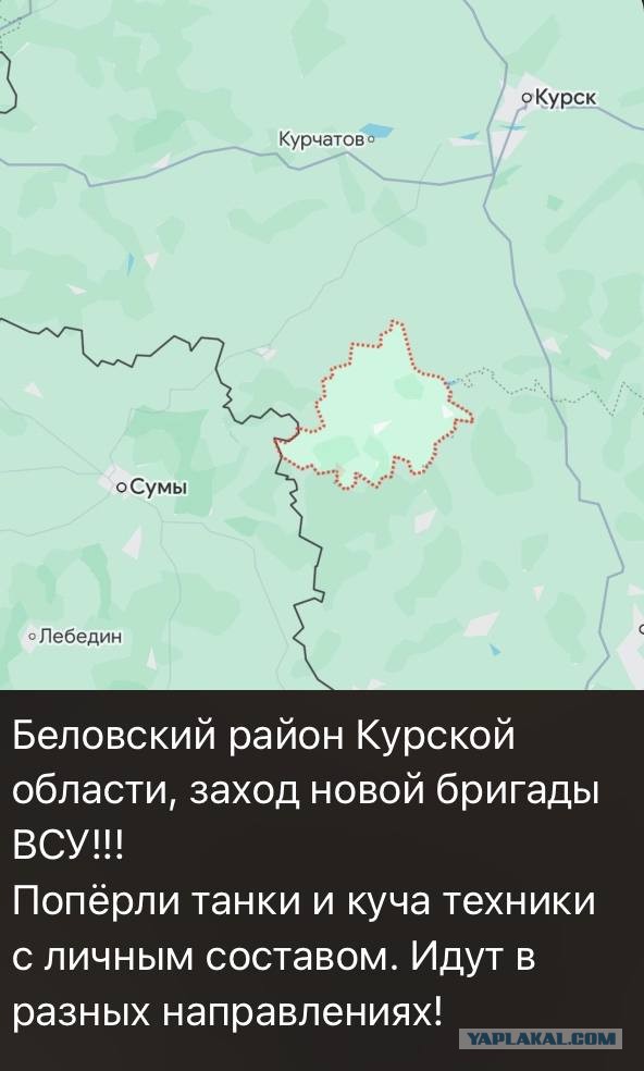 Численность группировок ВСУ, наступающих на Курскую область в зоне вторжения и вокруг нее может составлять  до 10 000 украинских солдат