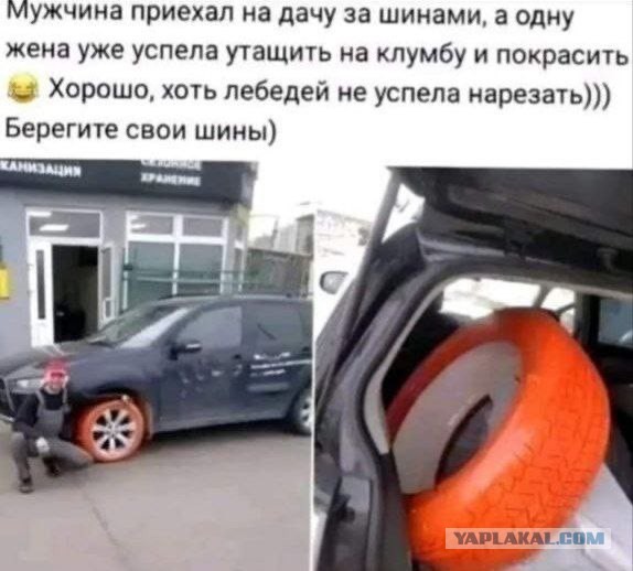 Всего понемногу. От 14.11.2024