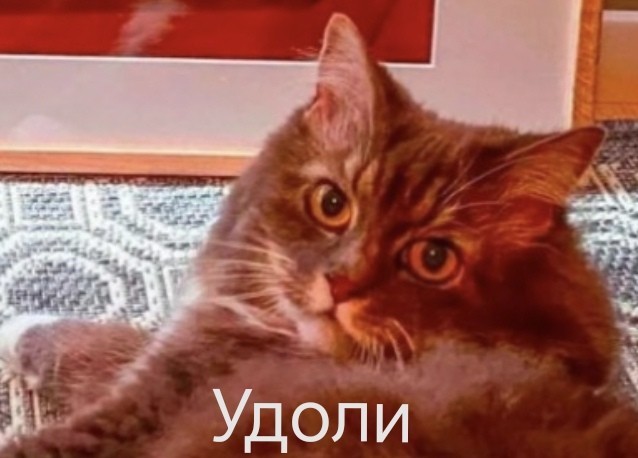 Это была ошибка