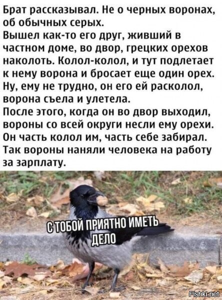 Так себе картинки 05.12.24