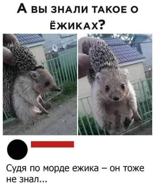 Весёлые картинки 2