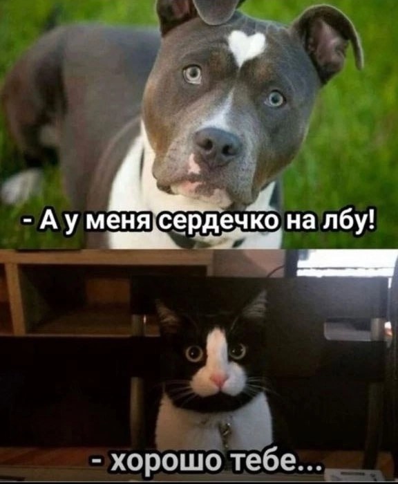 Картинки разные с надписями и без