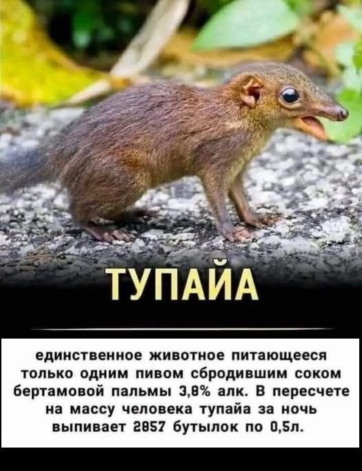 Картинки разные с надписями и без