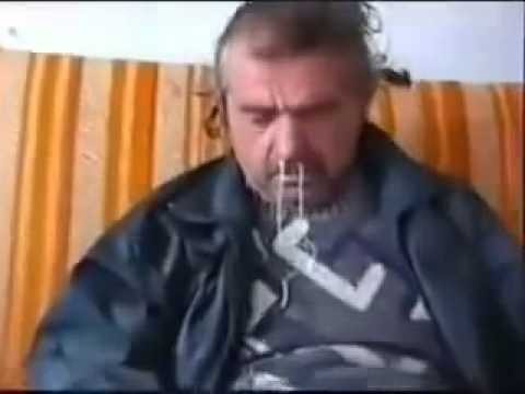Оказывается, многие коты делают «кекеке», когда слышат чих