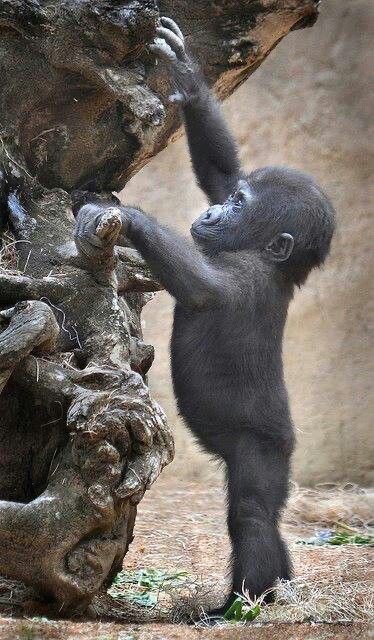 Прикольные и просто красивые картинки 04.04.2025