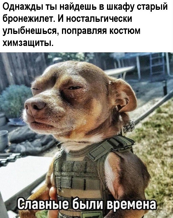 О ситуации в Индии