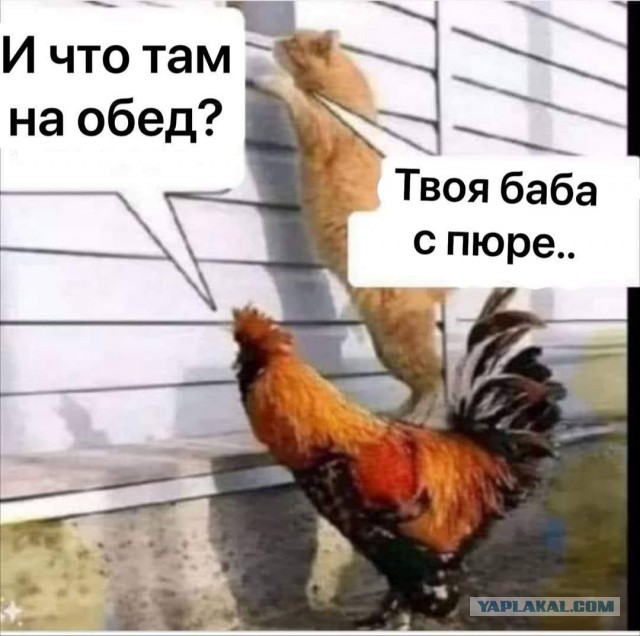 "Аркадий, он меня ударил!"