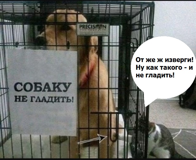 Так себе картинки 05.08.25