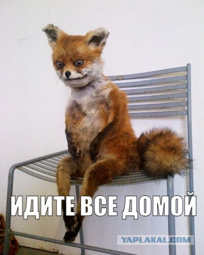 Детский мир