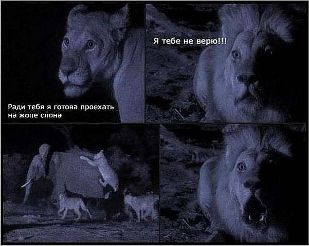 Сундук деграданта! Выпуск номер 13