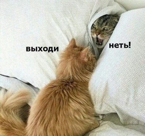 Четверговые картинки