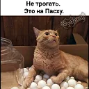 Вторника картинки