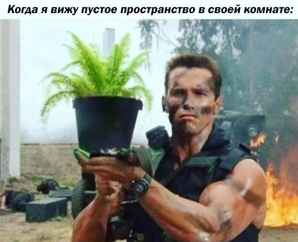 Весна в мемах