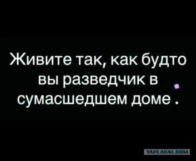 Мемчики