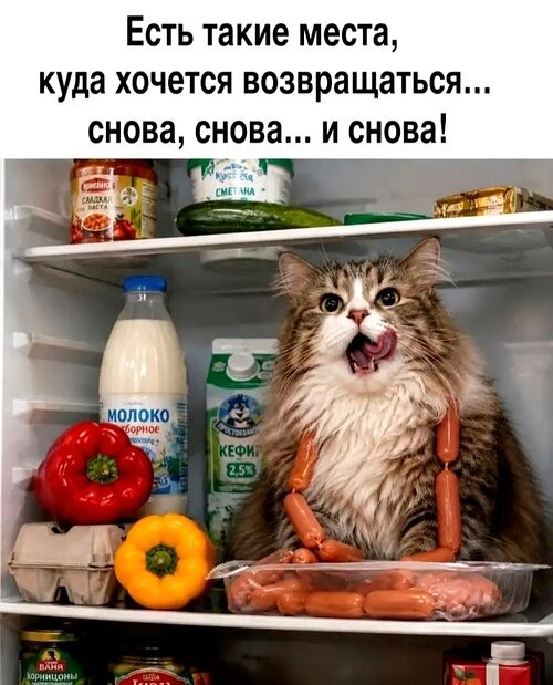 У каждого из нас есть такое место, куда хочется возвращаться снова и снова