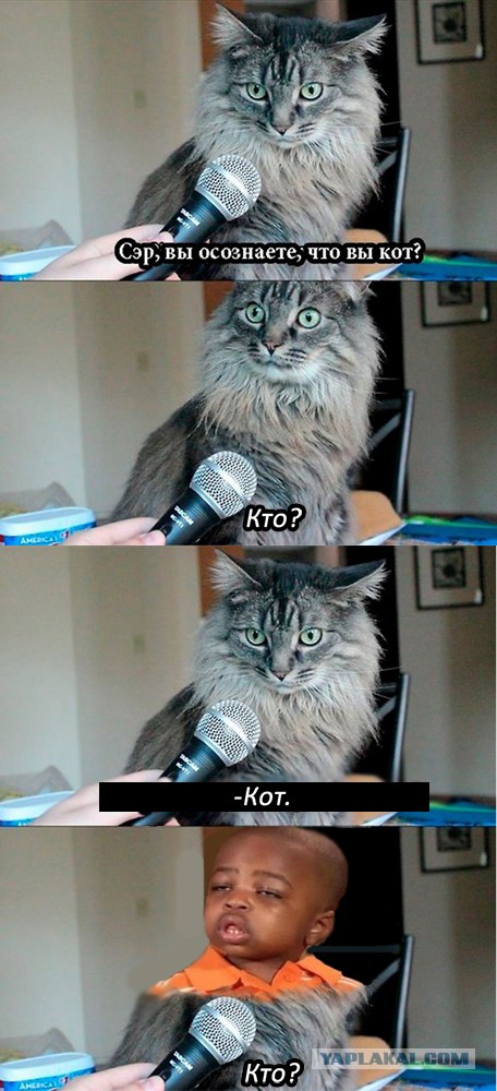 Вот это поворот!