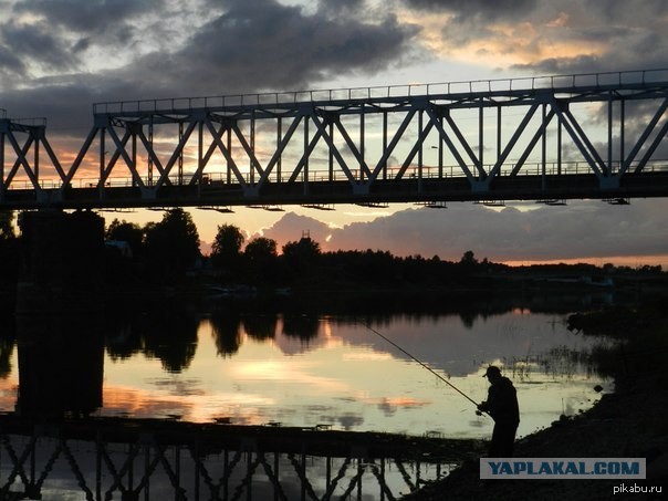 Победители фотоконкурса
