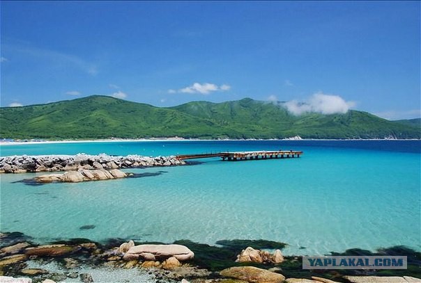 Природа Приморского края