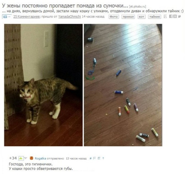 Прикольные картинки