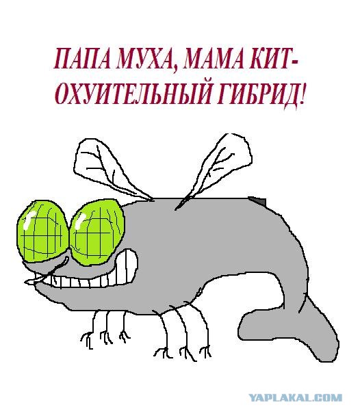 Страшная семейная тайна.