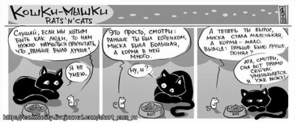 Кошки мышки