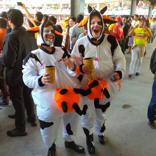 Чемпионат Мира 2014 Бразилия