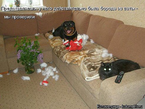 Немного позитива на пятницу.
