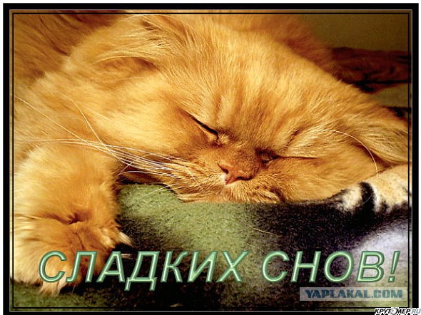 Добряки, плюсующие всех подряд