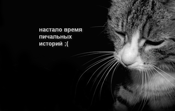 Жизнь женщины в одном портрете
